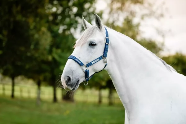 Horseware Field Safe - beitesikker grime