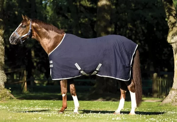 Amigo Stable Sheet X Sur Polly