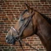 Dyon Anatomic Flash Noseband Bridle D Collection