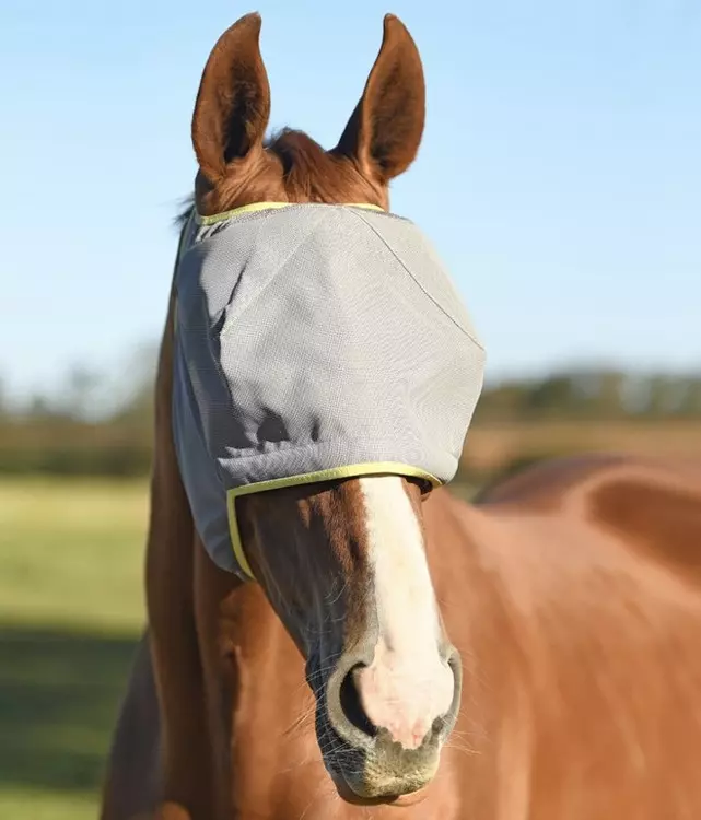 Equilibrium Fluemaske Midi uten ører