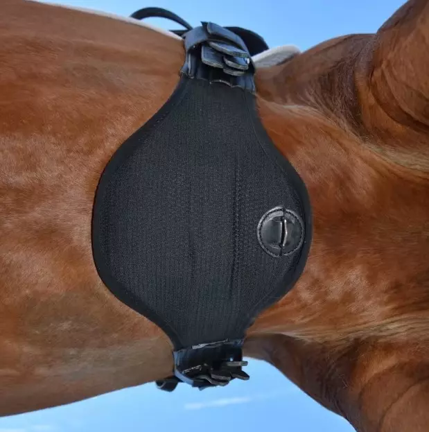 Eric Le Tixerant Dressur Gjord