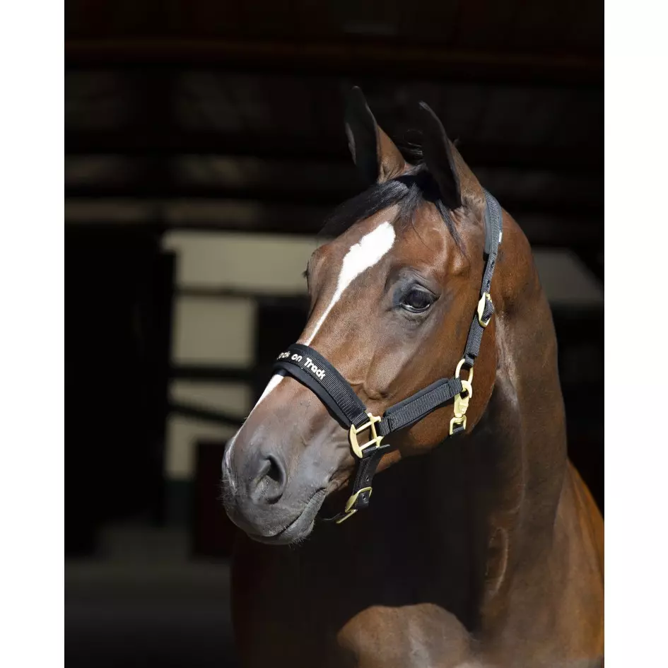 Back On Track Werano Grime - Sort