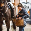 SOMÈH Grooming Bag Connect - Grace Gold