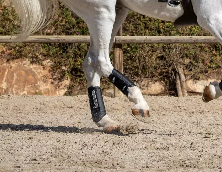 Le Mieux Carbon Air Cross Country Boots Bakbein
