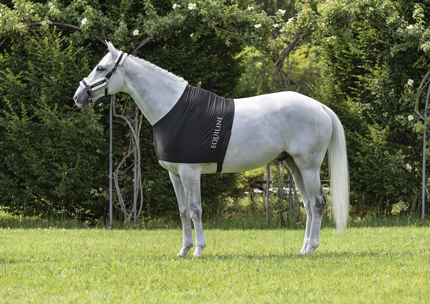 Equiline Edinburgh bogbeskyttelse