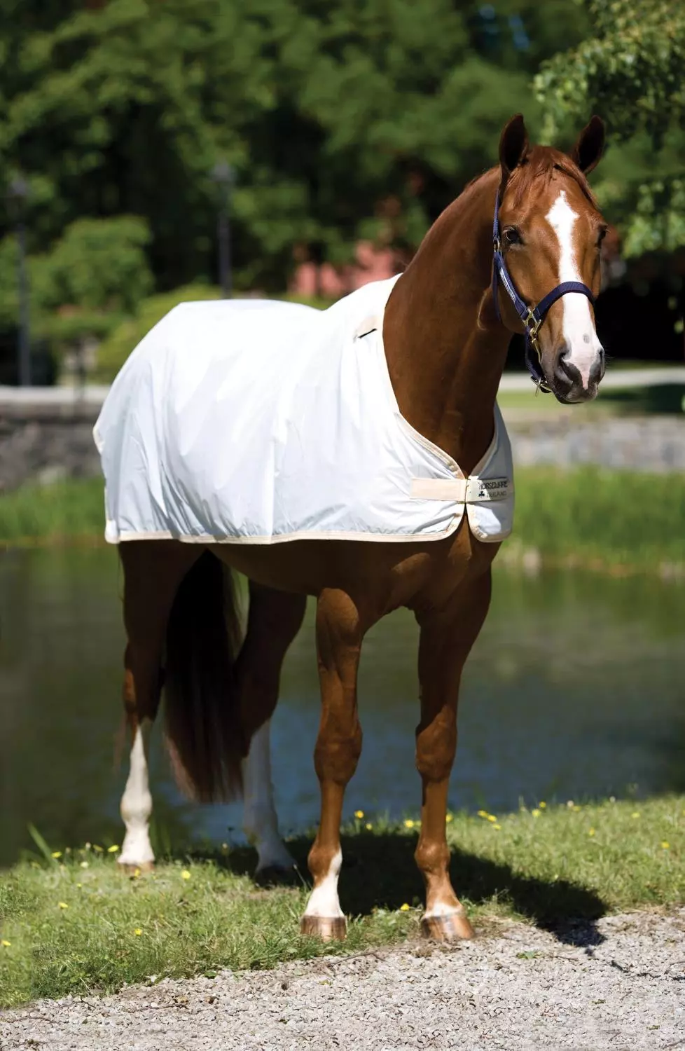 Rambo Fly Rug Liner Waterproof