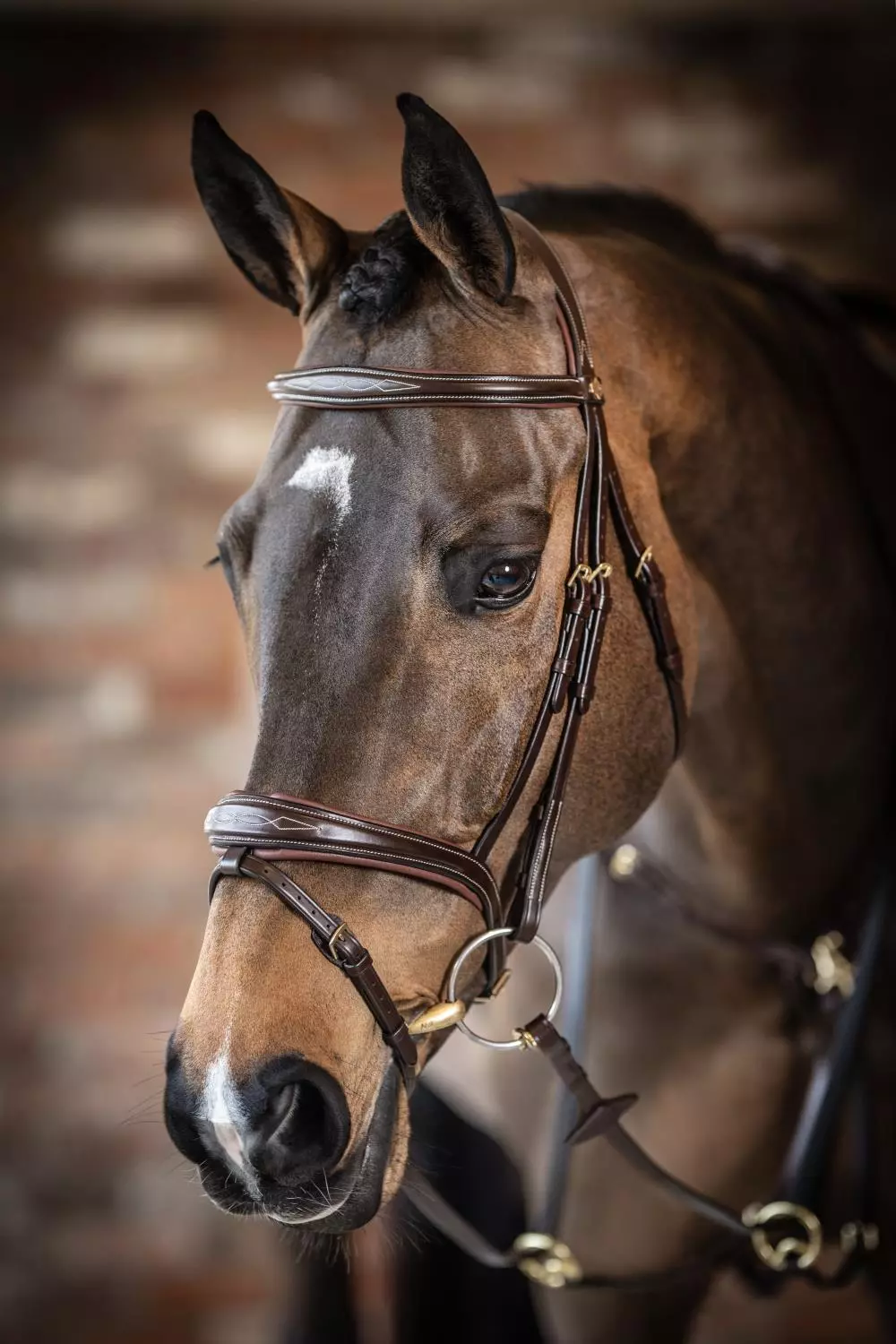 Le Mieux Competition Flash Hodelag - Havana