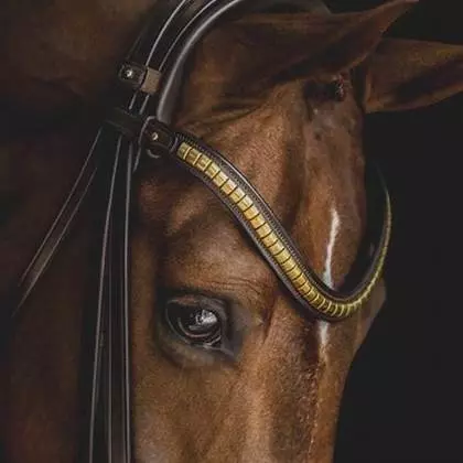 Utzon Clincher Pannereim Brun/Messing