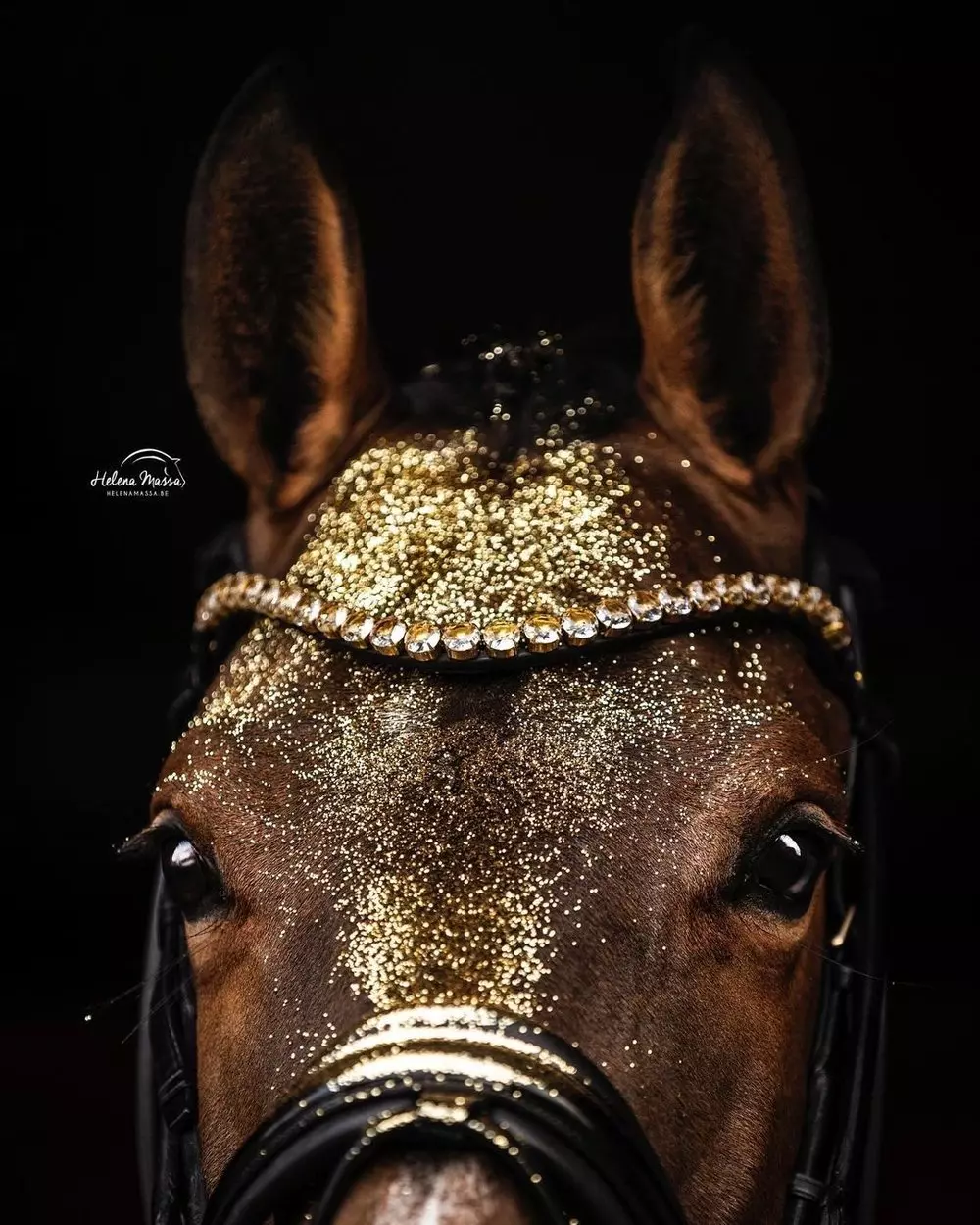 Utzon Empire Pannereim Golden Shades - Svart