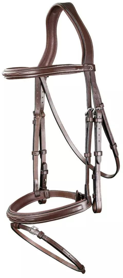 Dyon Flash Noseband Bridle US Collection