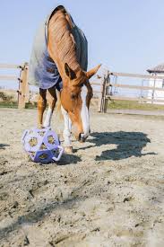 Kentucky Relax Horse Play & Hay Ball - Lavendel