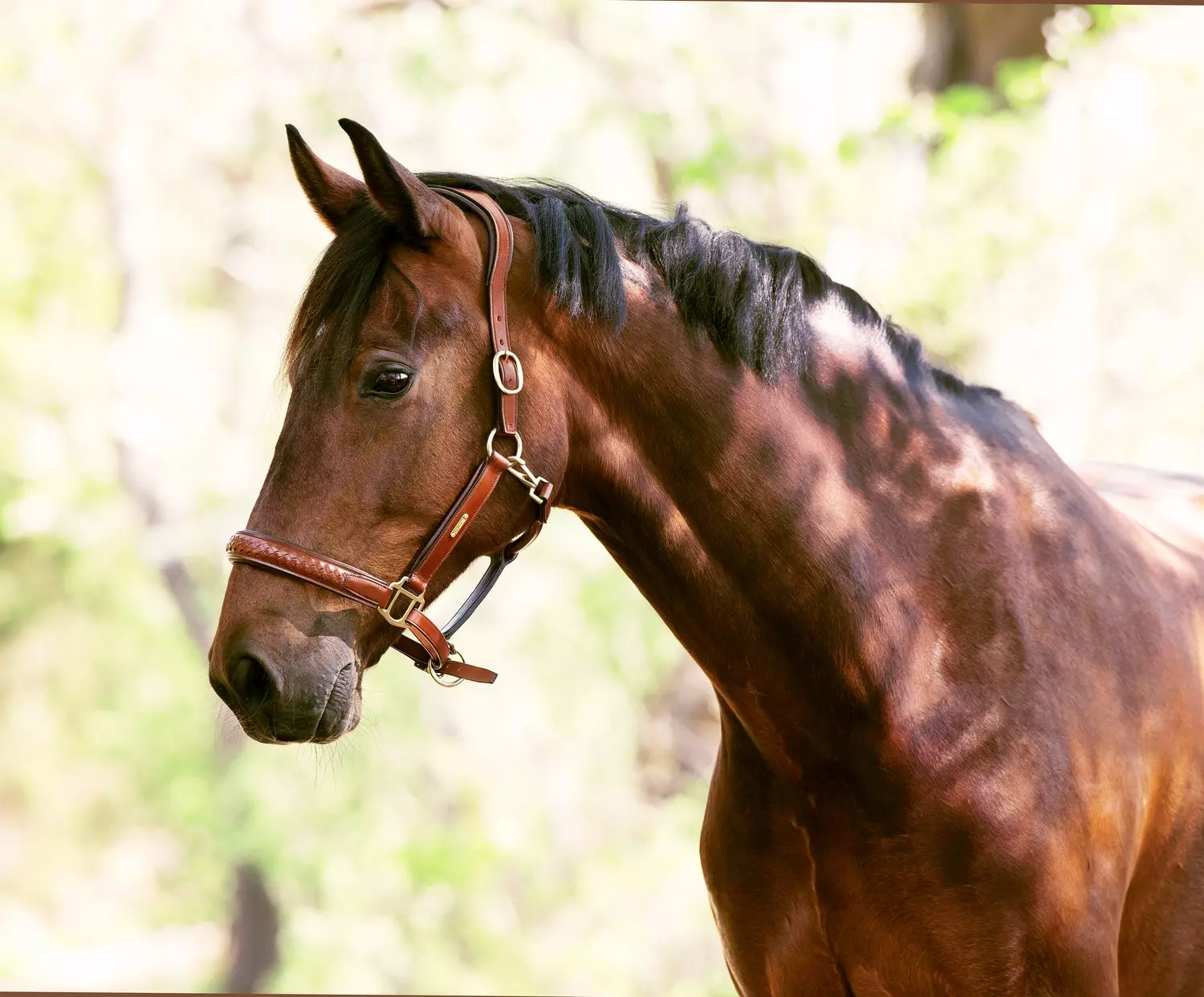 Utzon Olympic Halter Grime - mørk brun