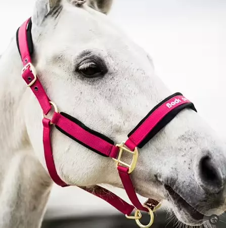 Back On Track Werano Grime - Cherry