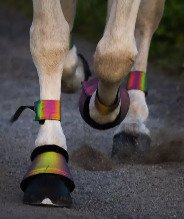Heimer Beinrefleks Rainbow med spenne