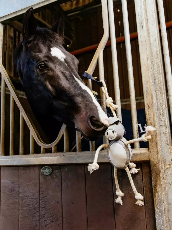 Le Mieux Horse Toy Donkey