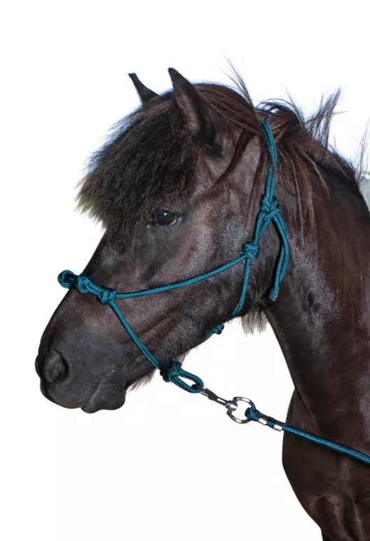 Hestagallery Taugrime med dobbelknute - Grønn