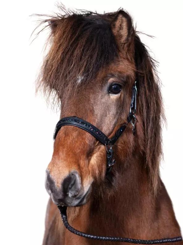 Hestagallery RockStone Lærgrime med stener i grøn/sort