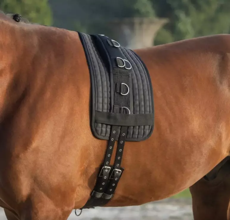 Covalliero Longeringsgjord med 9 ringer