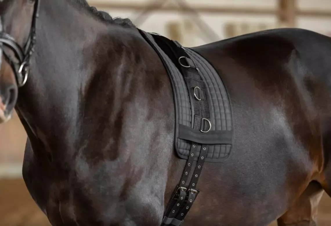 Covalliero Longeringspad