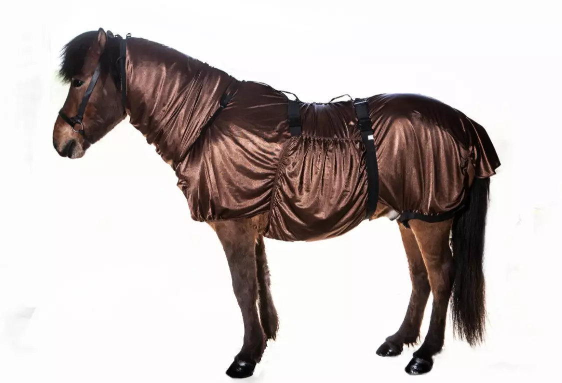 Hestagallery IceTack eksemdekken