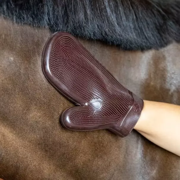 Grooming Deluxe Rubber Grooming Glove - Brun