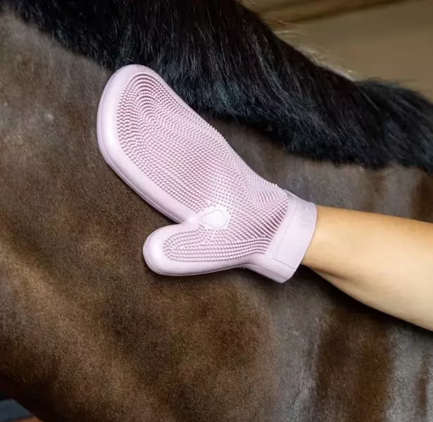 Grooming Deluxe Rubber Grooming Glove - Old Rose