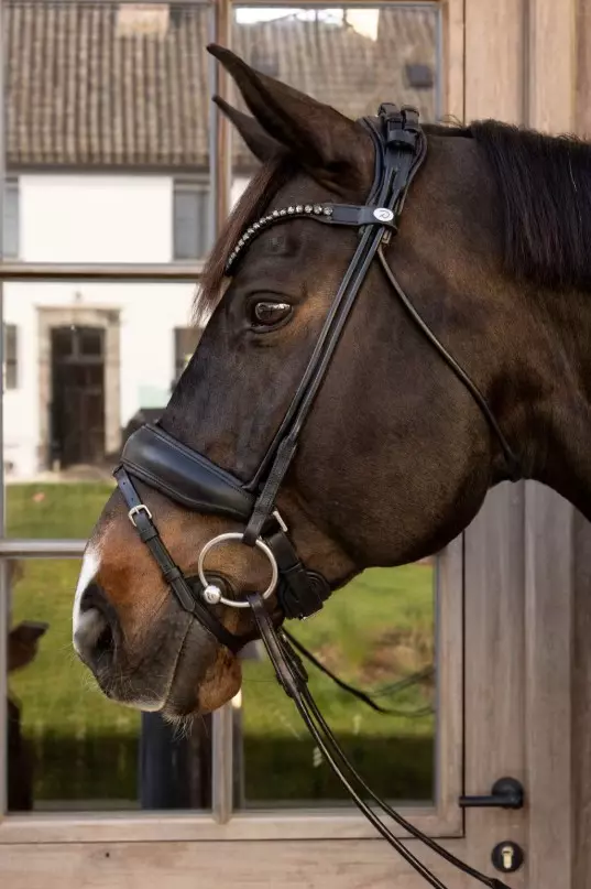 Dyon ComfoHead Bridle Working By Dyon