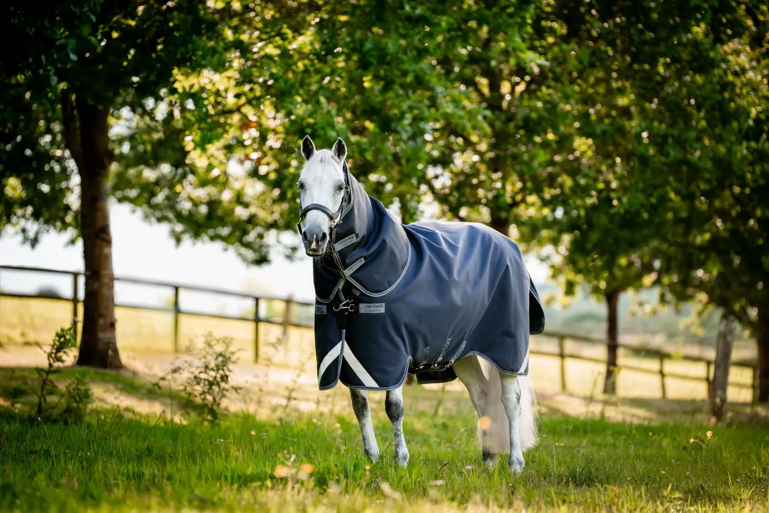 Horseware Rambo 168D Plus Turnout 100g Navy