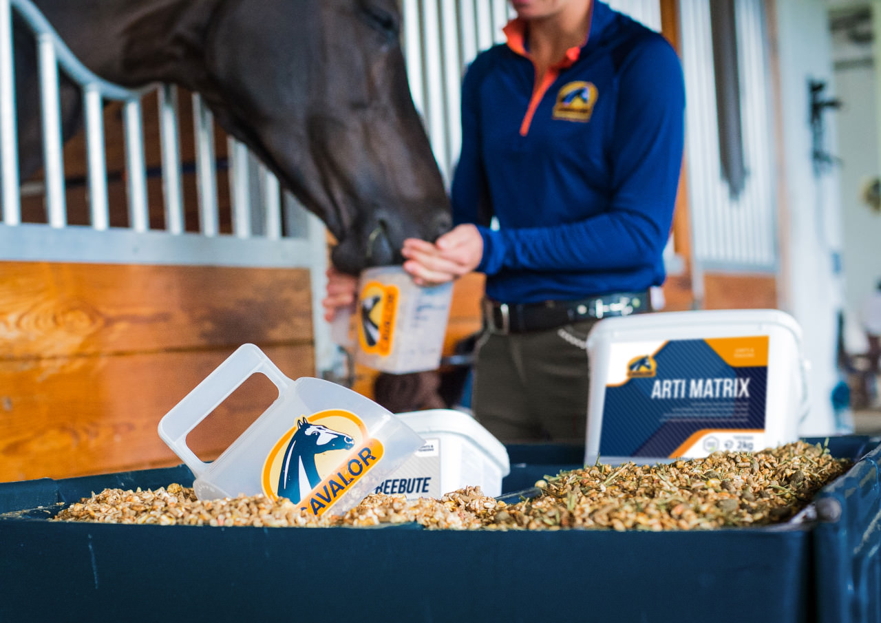 Vitamin- og mineraltilskudd