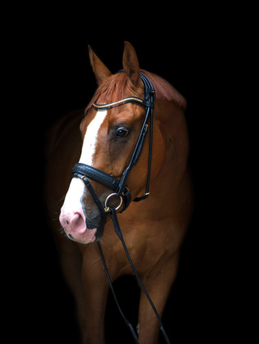 Hodelag og tilbehør