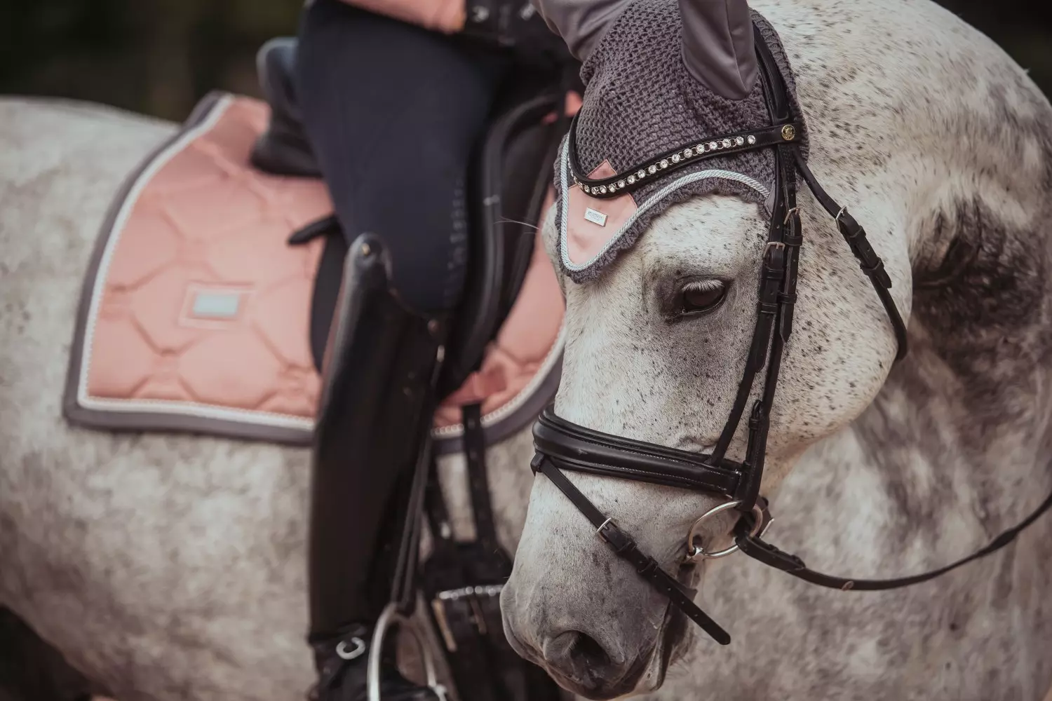 gallery-6677-for-184900