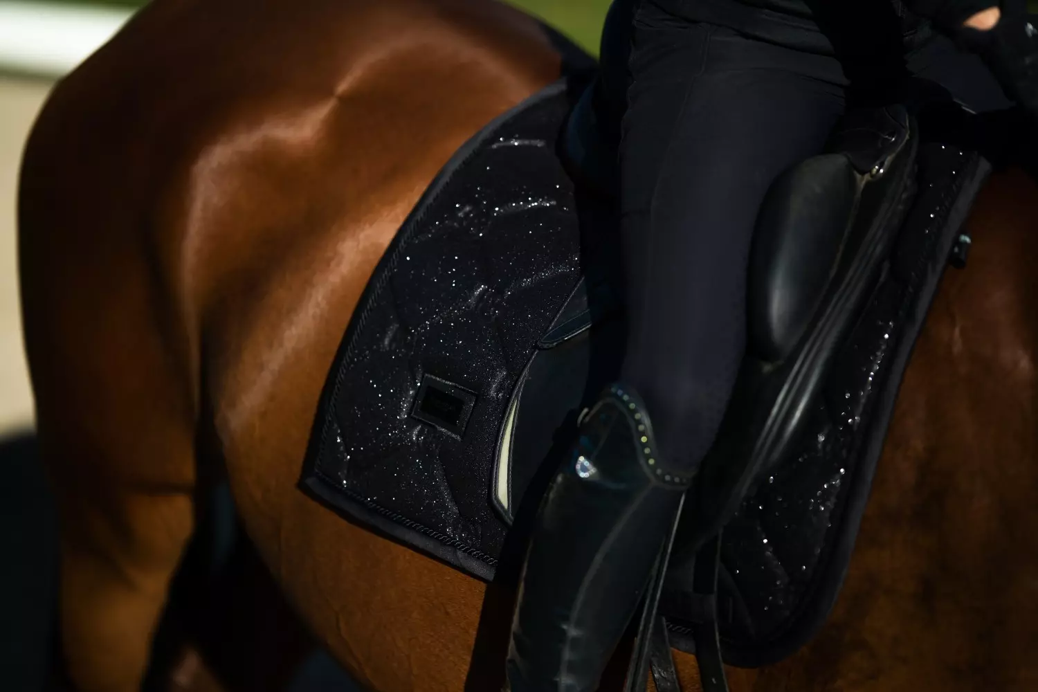 gallery-6693-for-184039