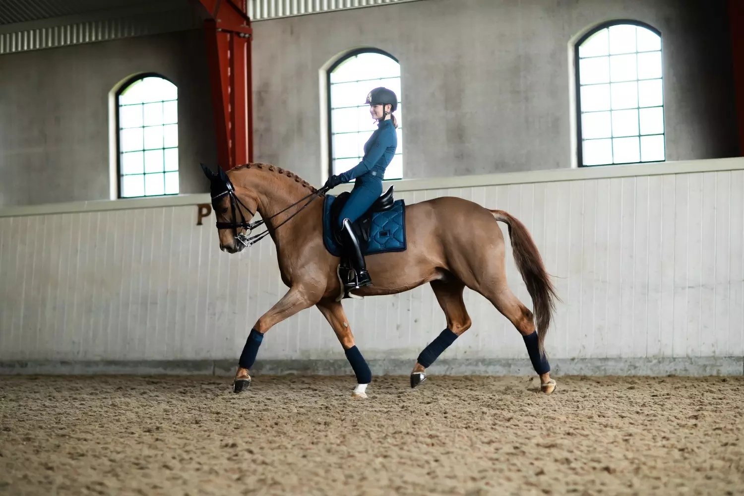 gallery-6712-for-184902