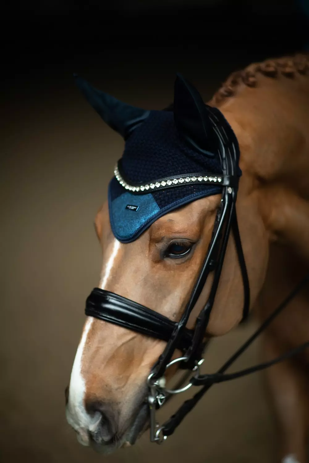 gallery-6715-for-184893