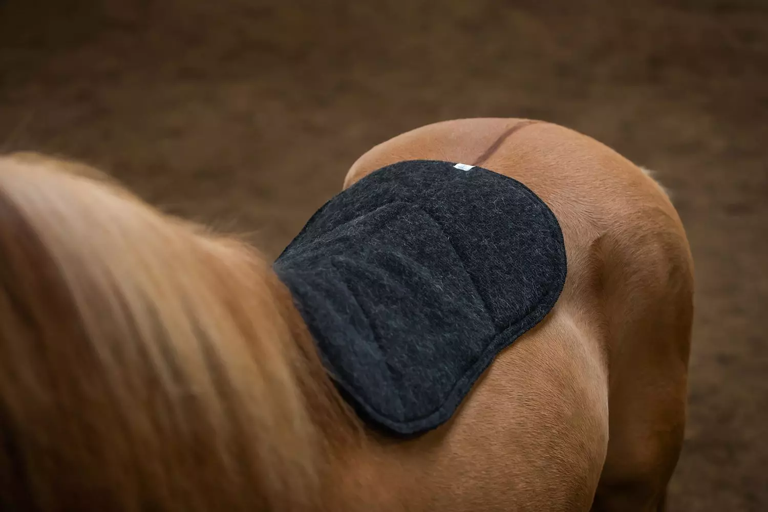 gallery-6731-for-184995