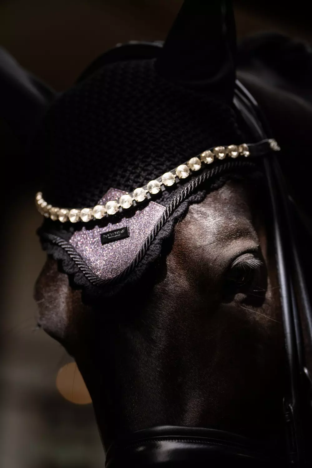 gallery-6743-for-184892