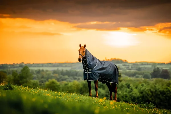 Amigo Ripstop 900D Plus Pony Turnout 200g