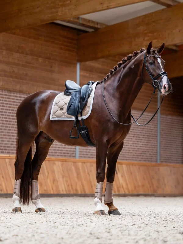 gallery-6789-for-185017