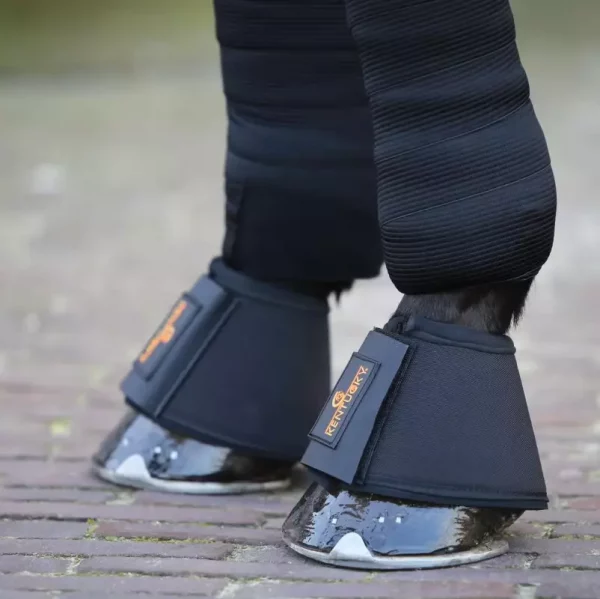 gallery-6903-for-182075