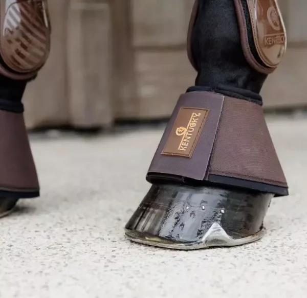 gallery-6905-for-185055