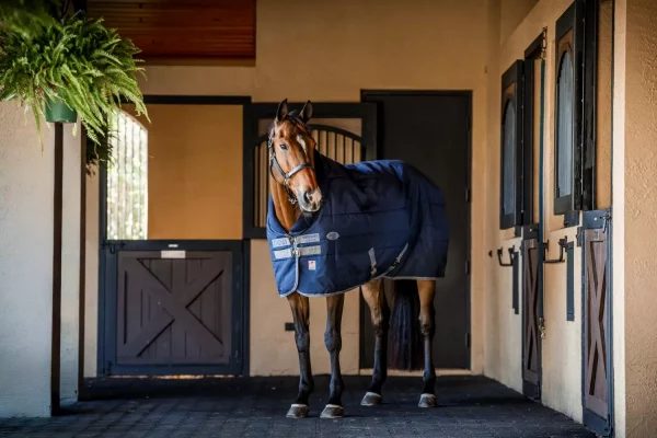 gallery-7024-for-180878