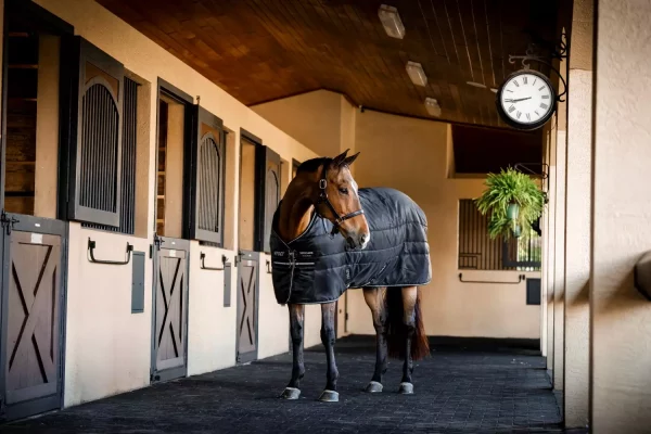 Horseware Amigo Ripstop Insulator Stable 50g