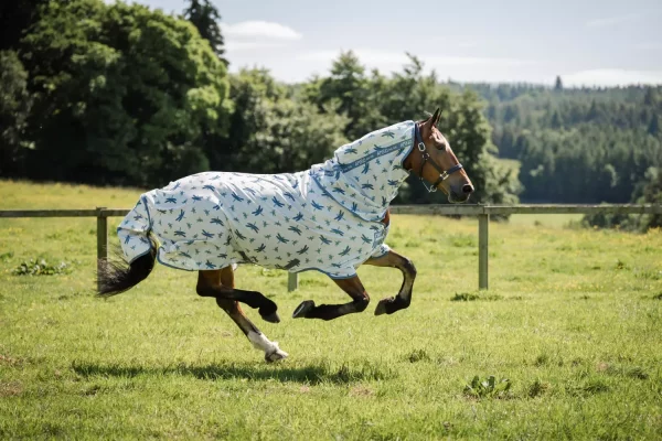 Amigo Bug Rug Plus - Dragonfly