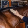 Grooming Deluxe Wooden Classic Brush Long Soft - Sort