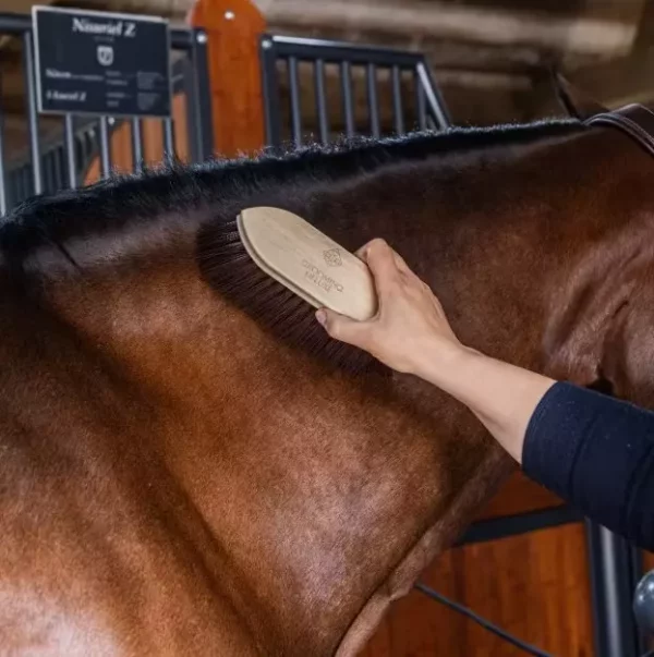 Grooming Deluxe Wooden Classic Brush Long Soft - Sort