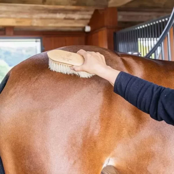 gallery-7064-for-185099