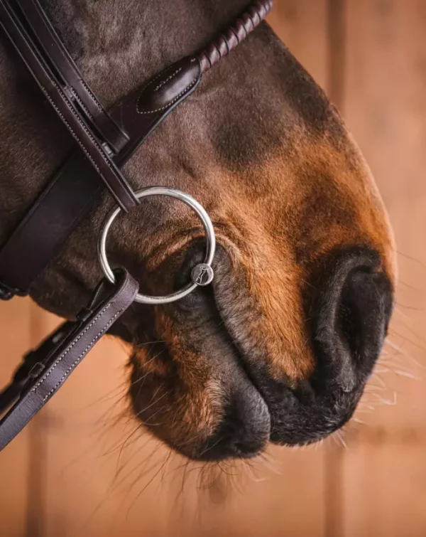 gallery-7079-for-184682