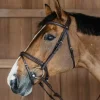 Dyon Plaited Flash Noseband Bridle New English Collection