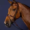 Dyon Anatomic Flash Noseband Bridle New English Collection
