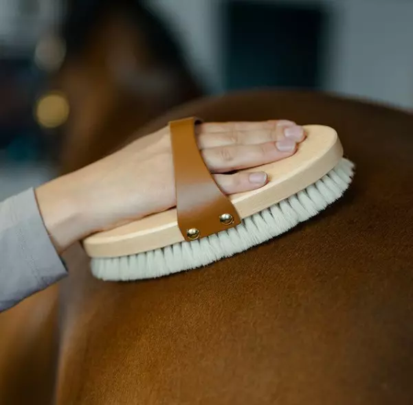 Borstiq Geitehårsbørste med lærreim